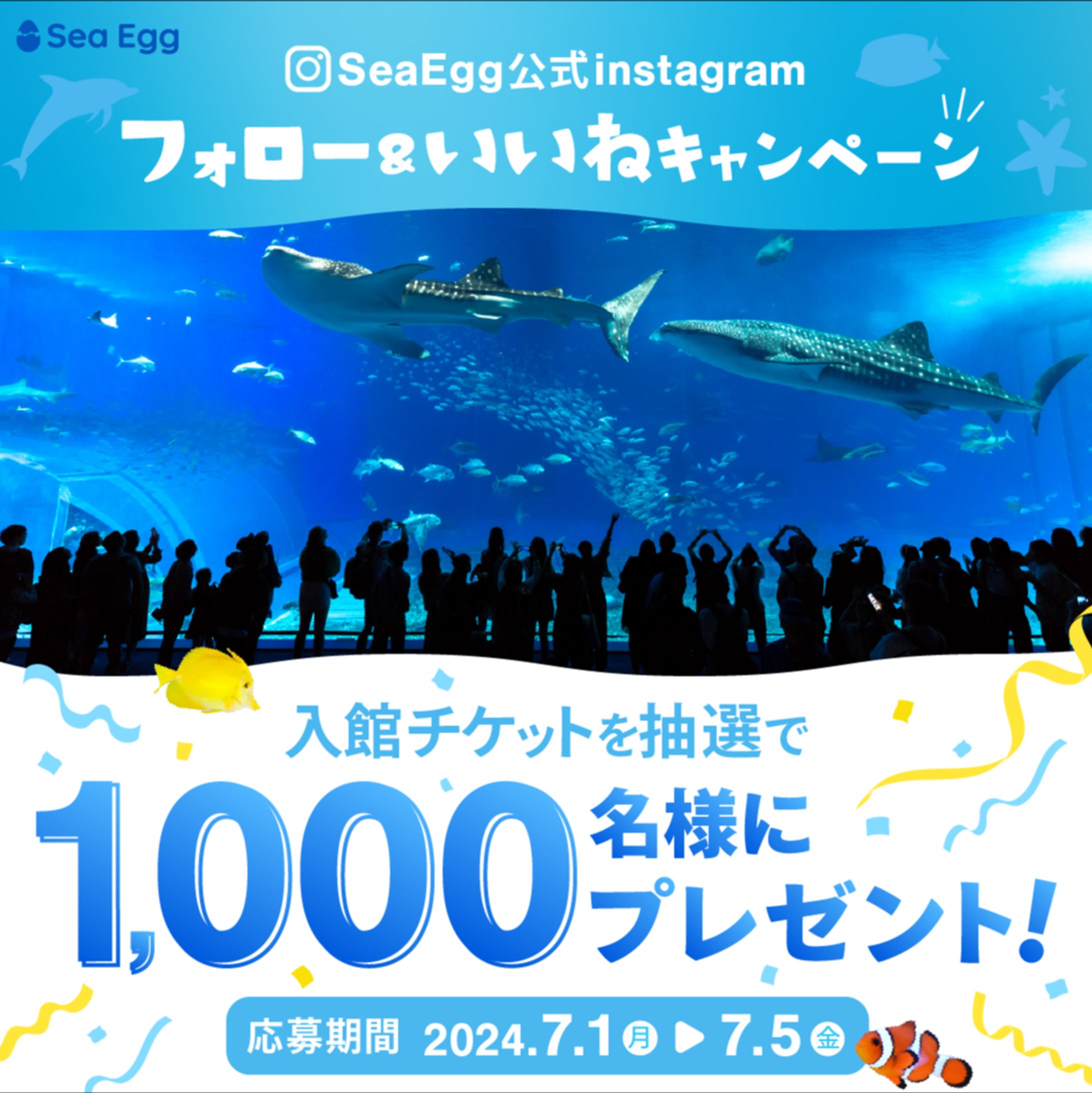 水族館のSNS広告用バナー-1