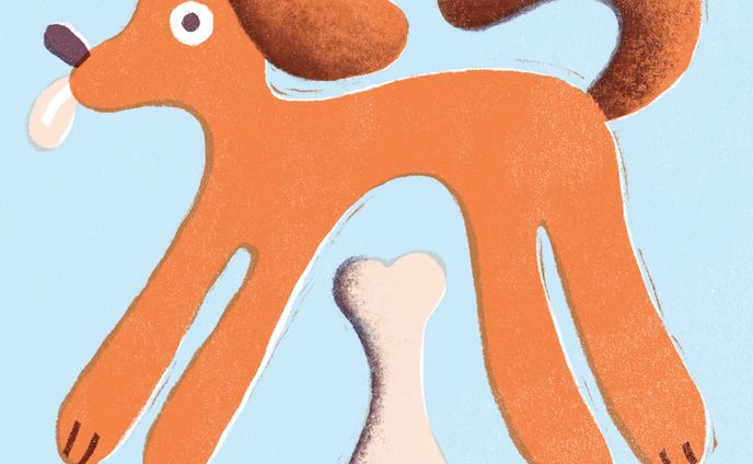イラストレーター、グラフィックデザイナー、パターン