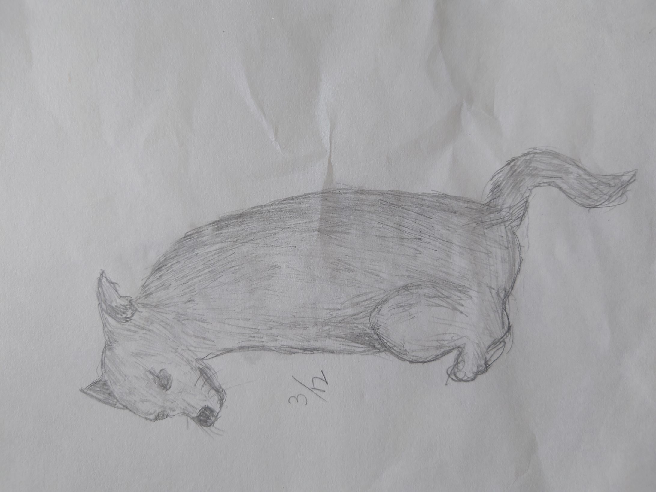 【模写】動物_犬【15分】-1
