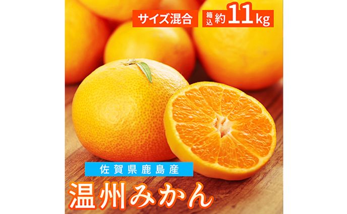ECサムネイル：果物