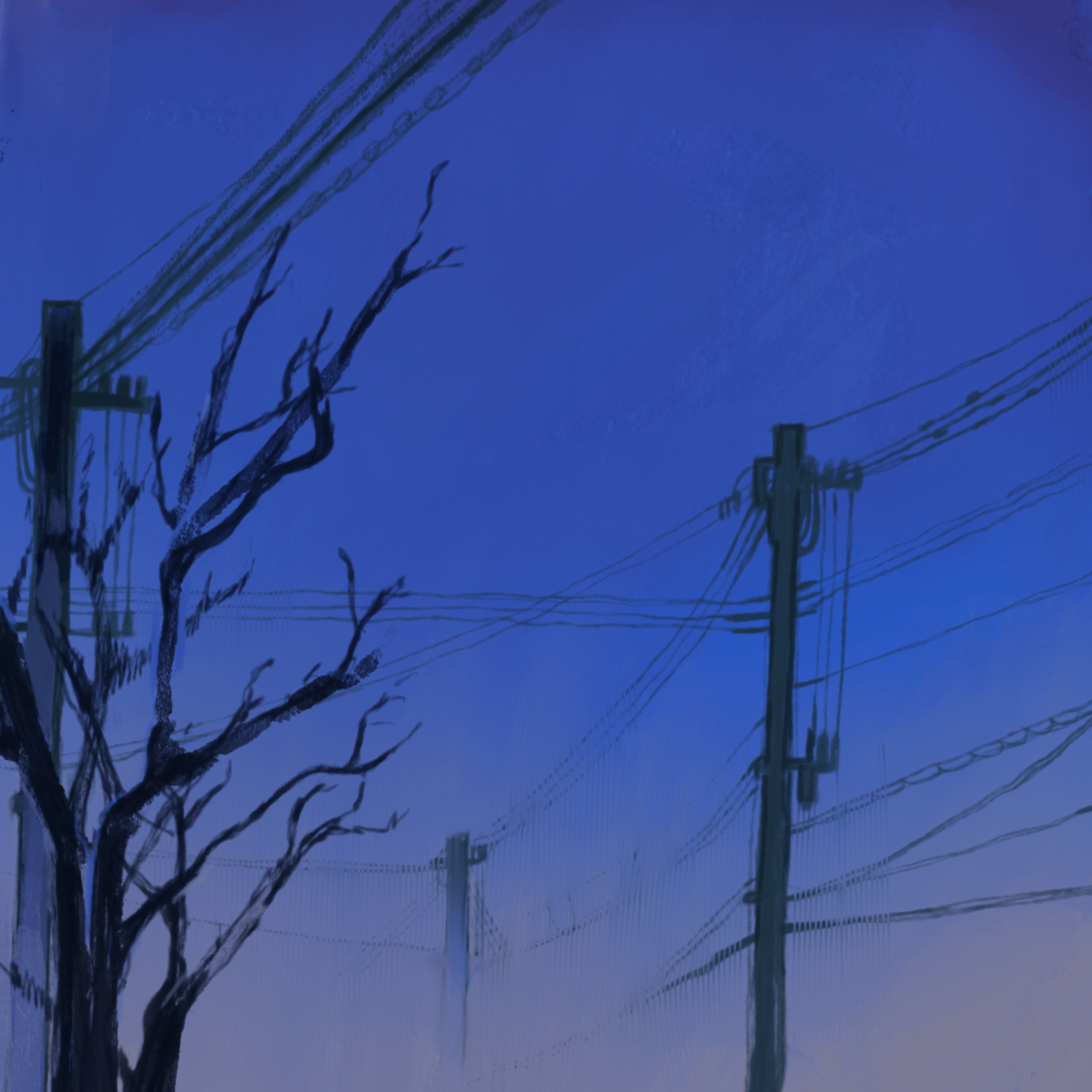 landscape_1-1