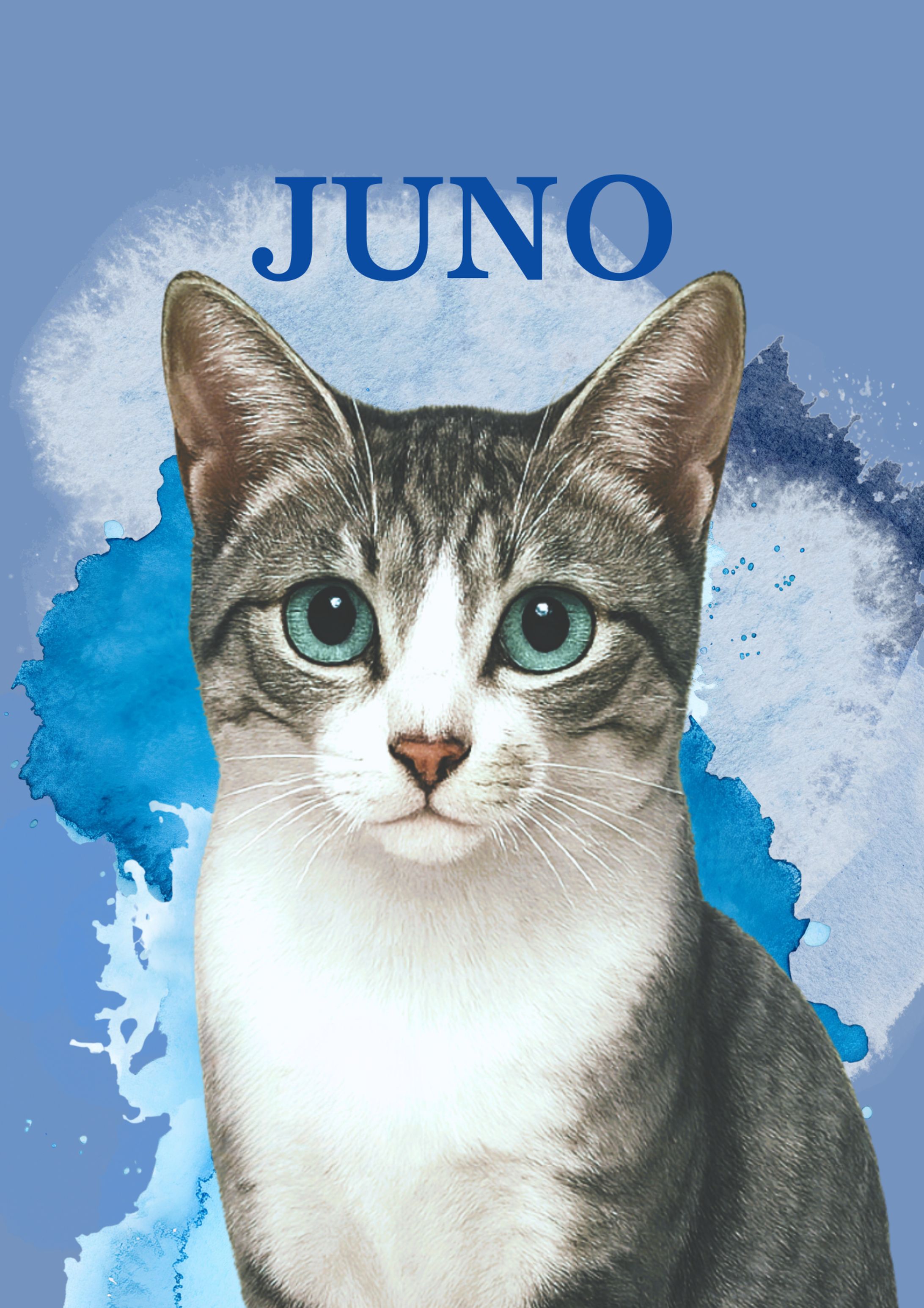 ペットの似顔絵（全５枚）-1