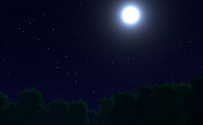 月森 ／ Moon forest