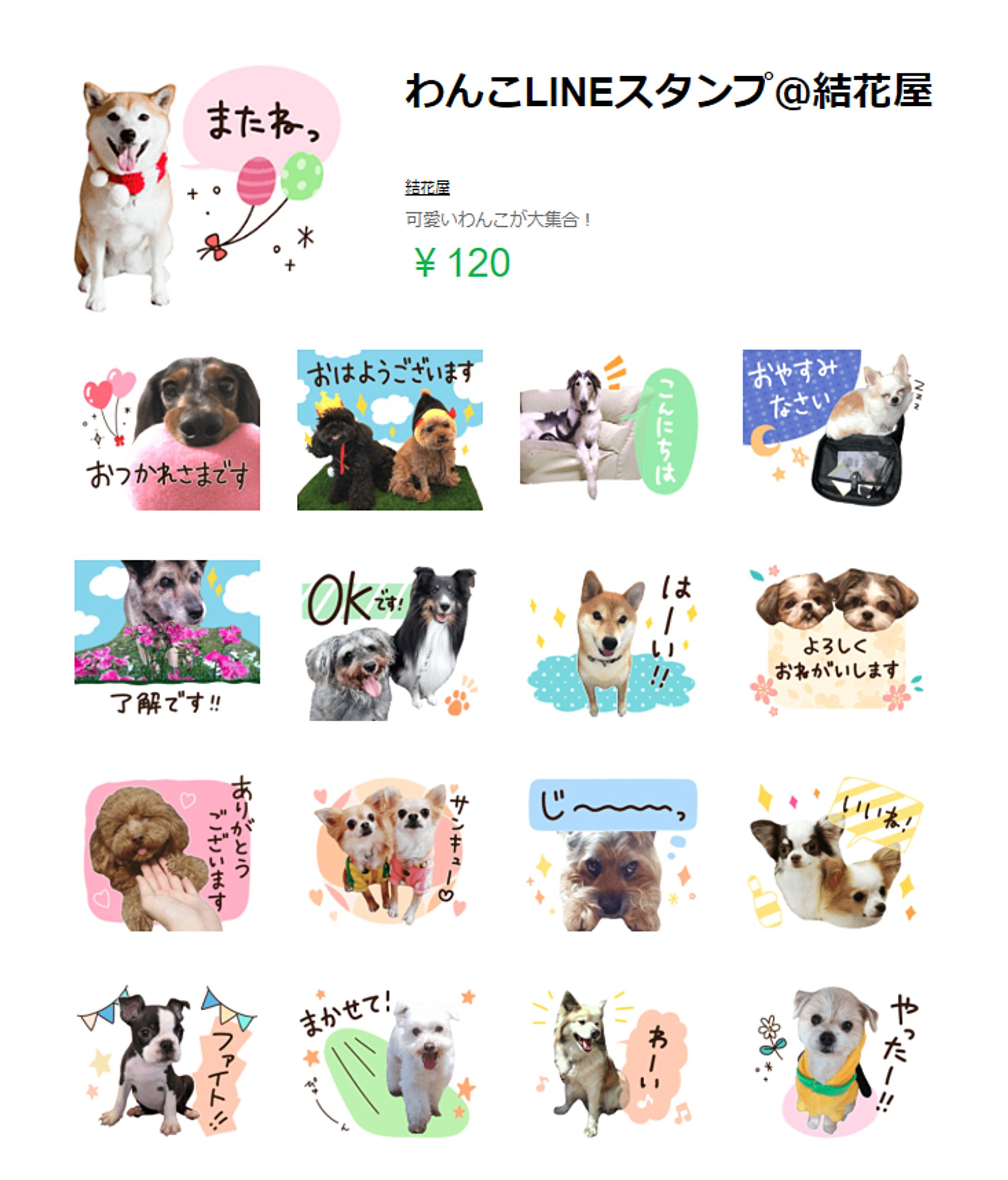犬＿LINEスタンプ-1
