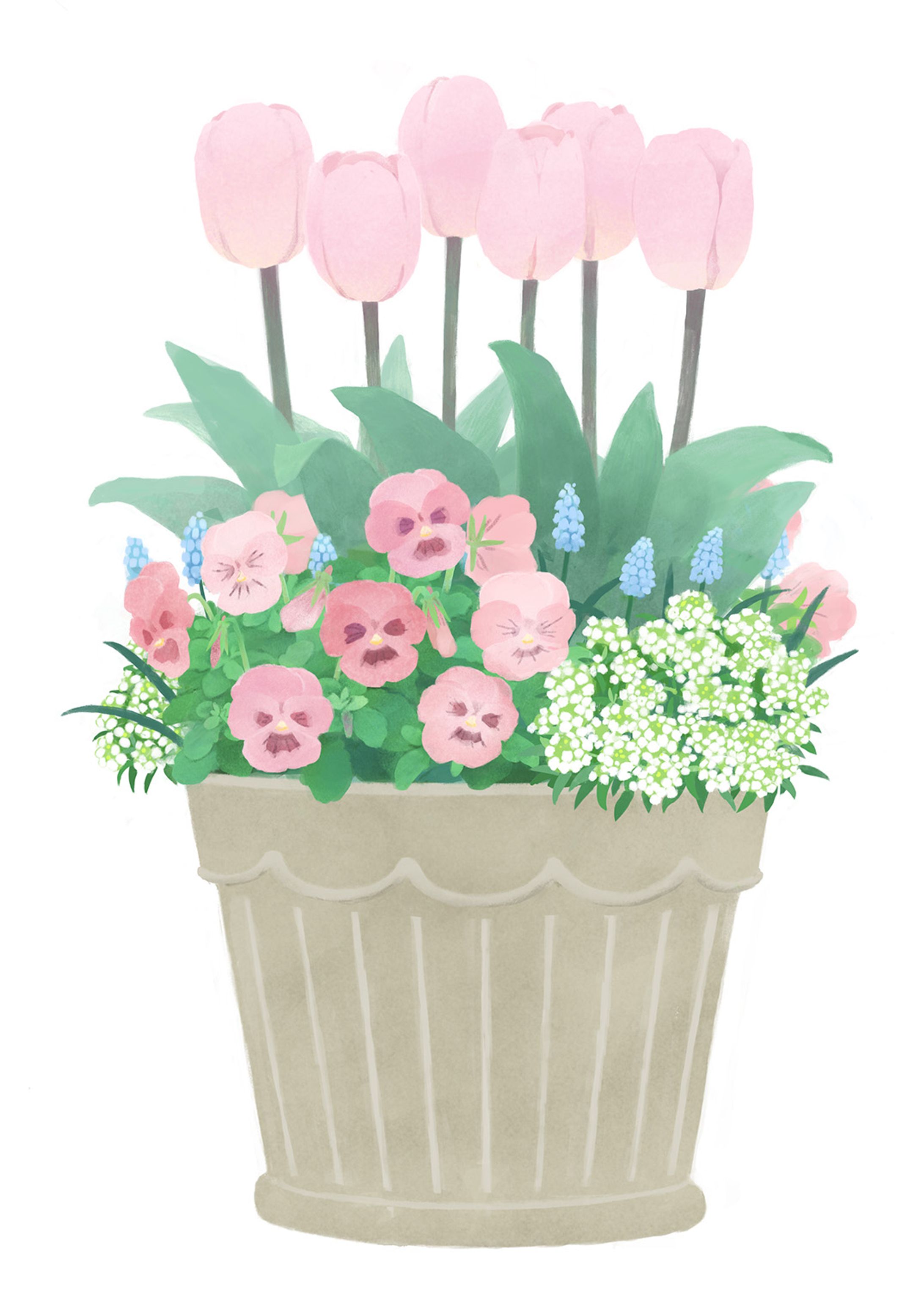 春の寄せ植え-1