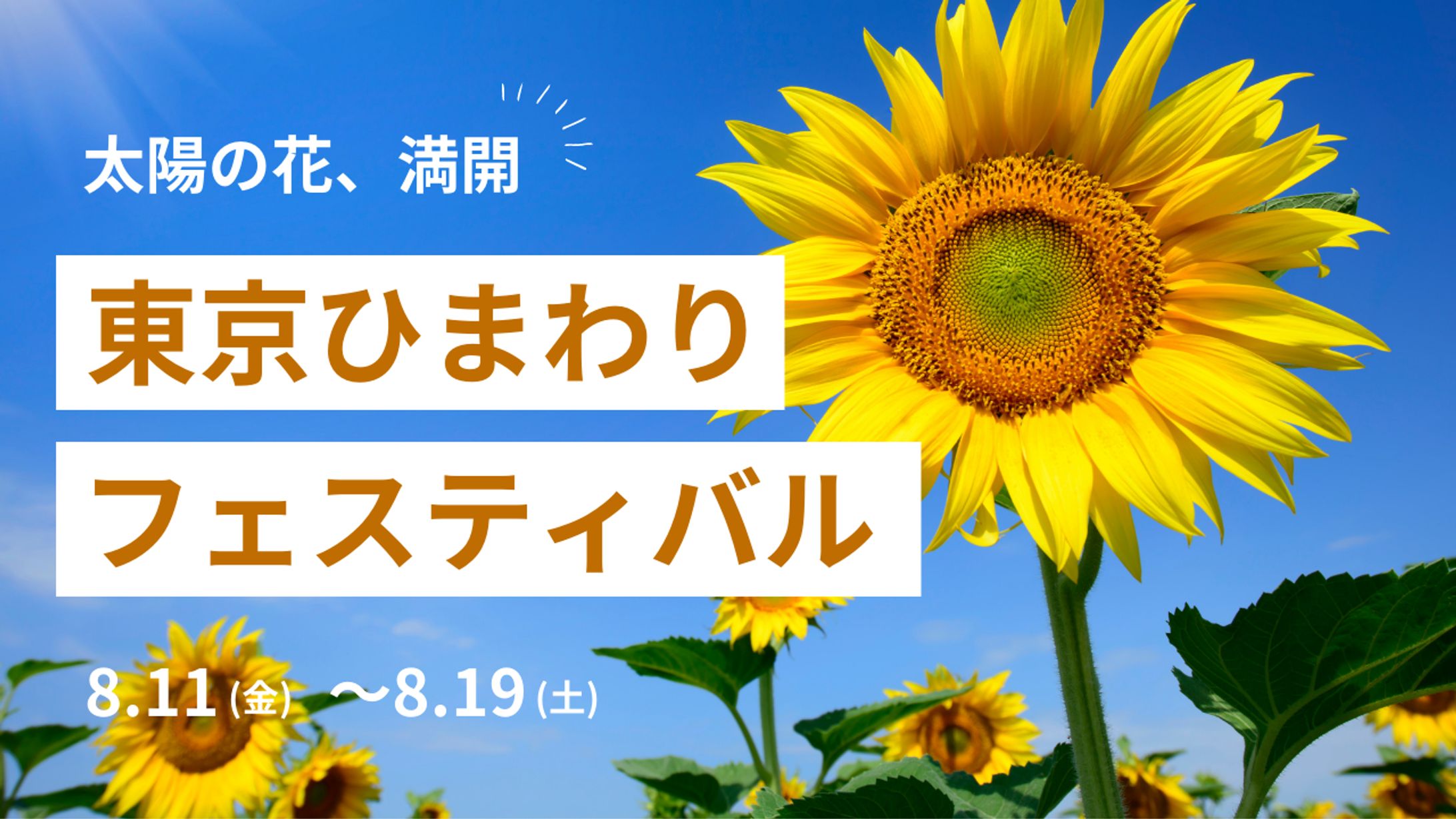 サムネイル-1