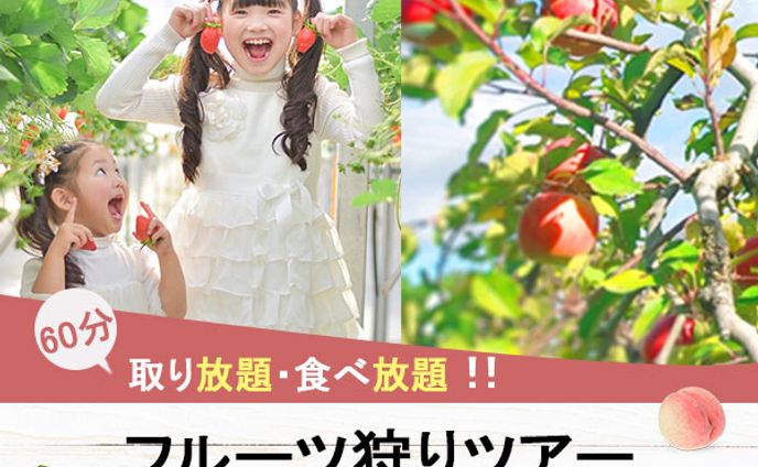 バナー：フルーツ狩り