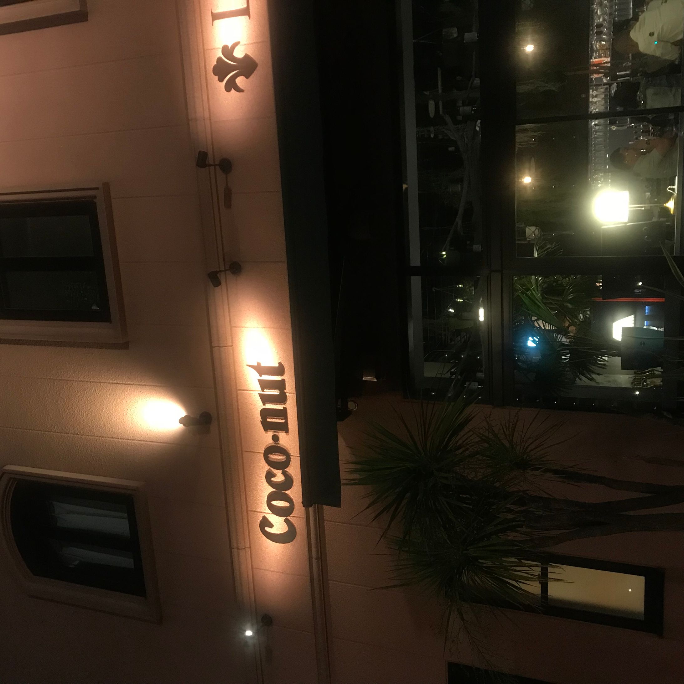 coco-1