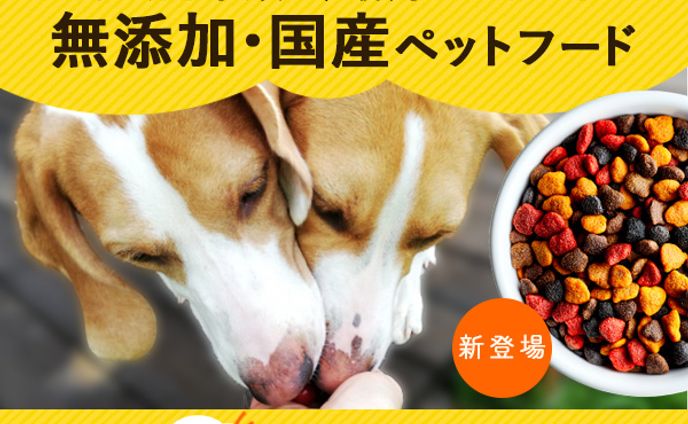 バナー：ドッグフード