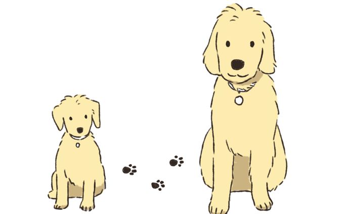 犬＿イラスト