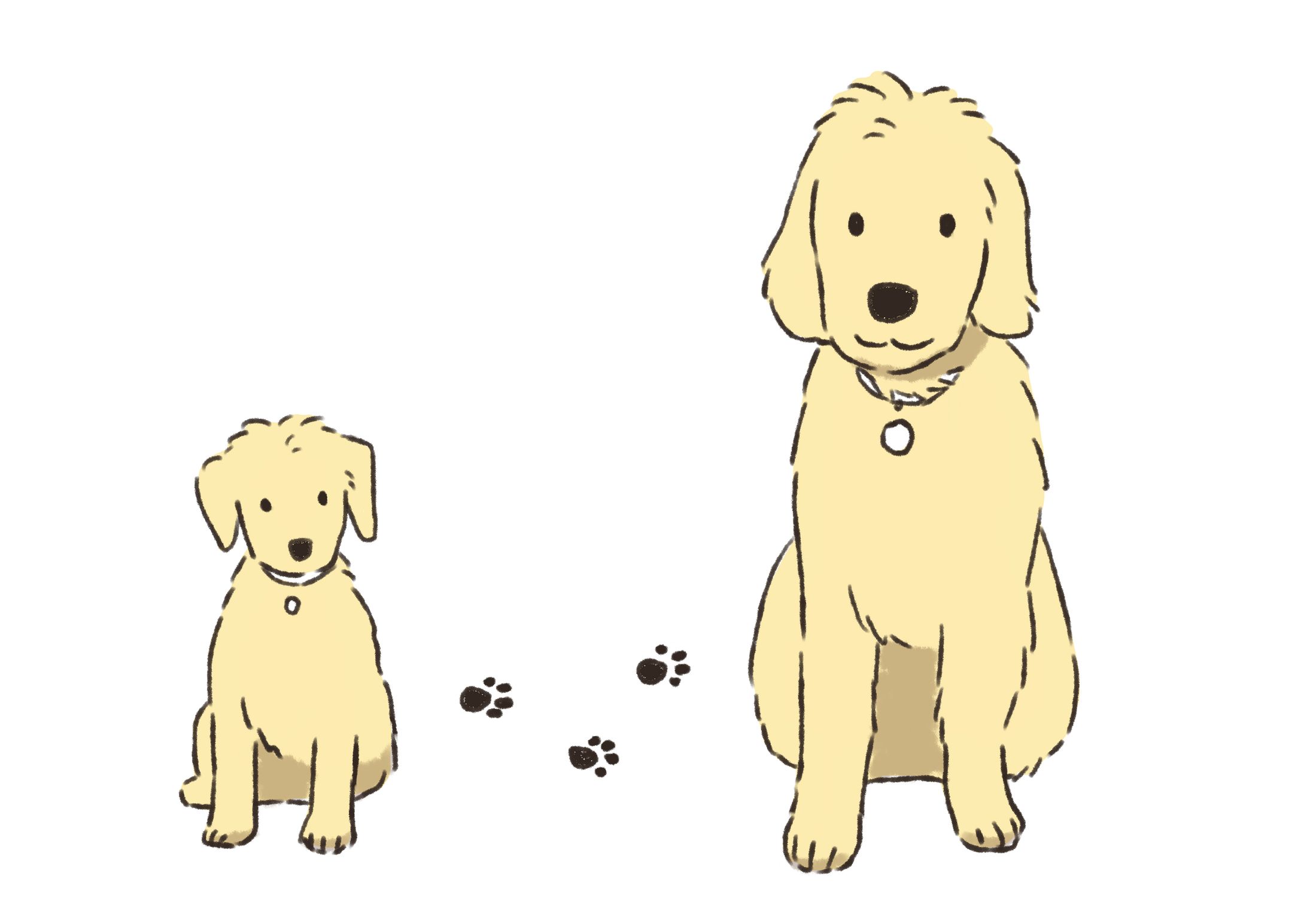 犬＿イラスト-1