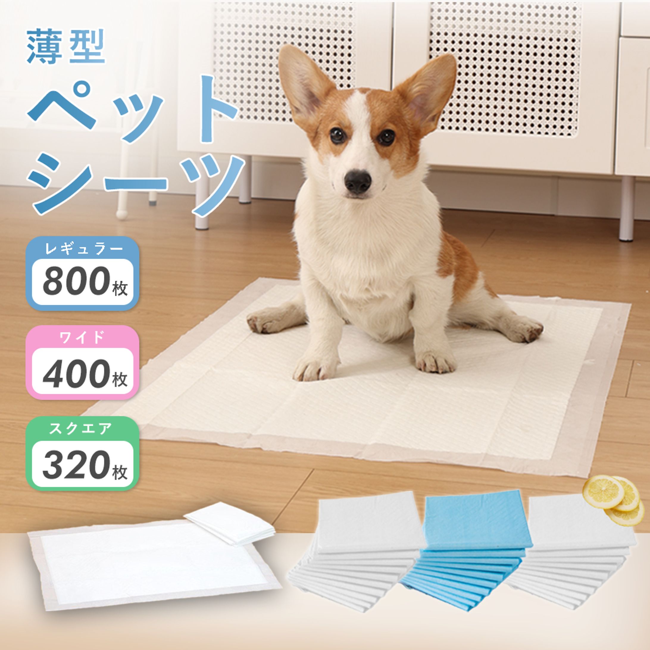 【Design】楽天LP制作-1