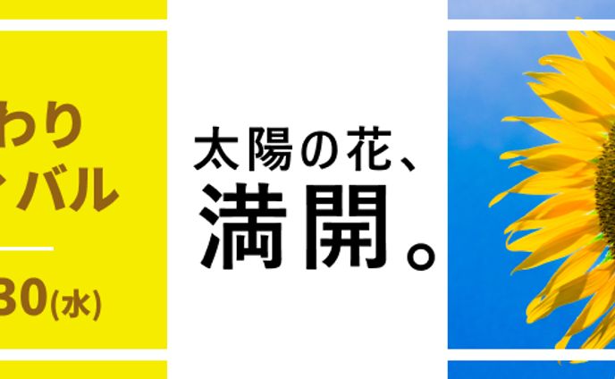 【バナー】イベント（横長3パターン）