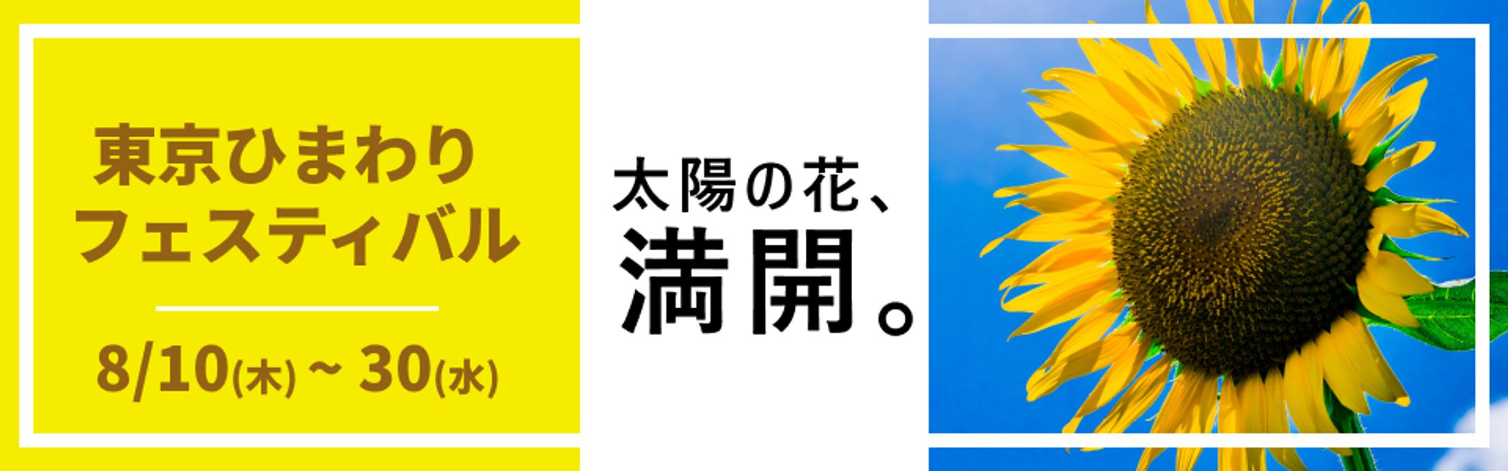 【バナー】イベント（横長3パターン）-1