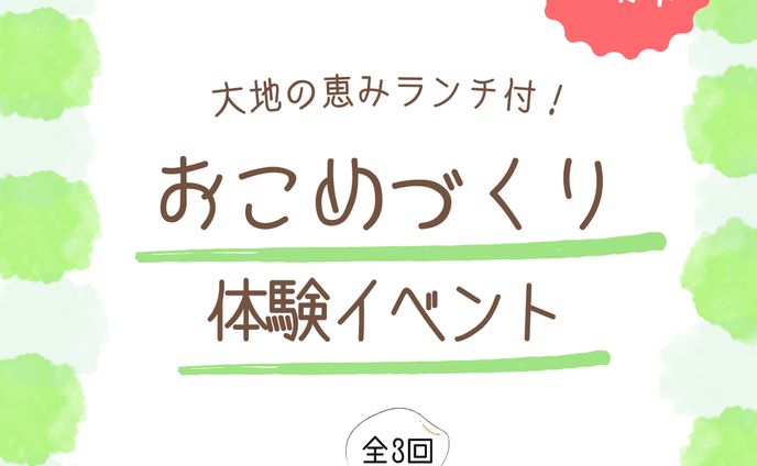 Instagram 告知