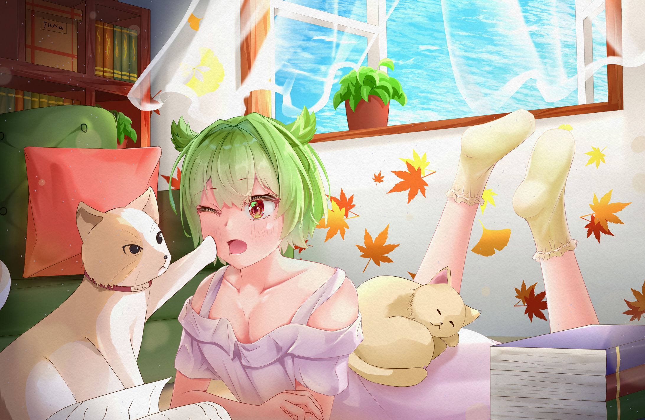 猫に邪魔される-1