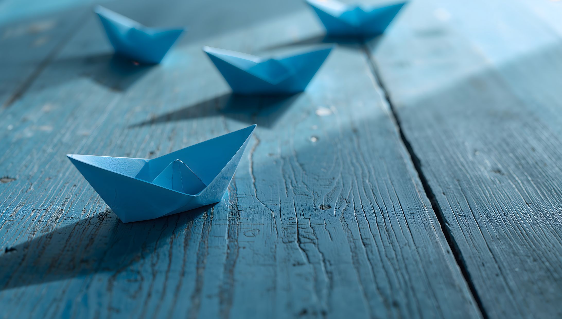 Lucid Origin A closeup overhead photograph of several blue pap 3-1