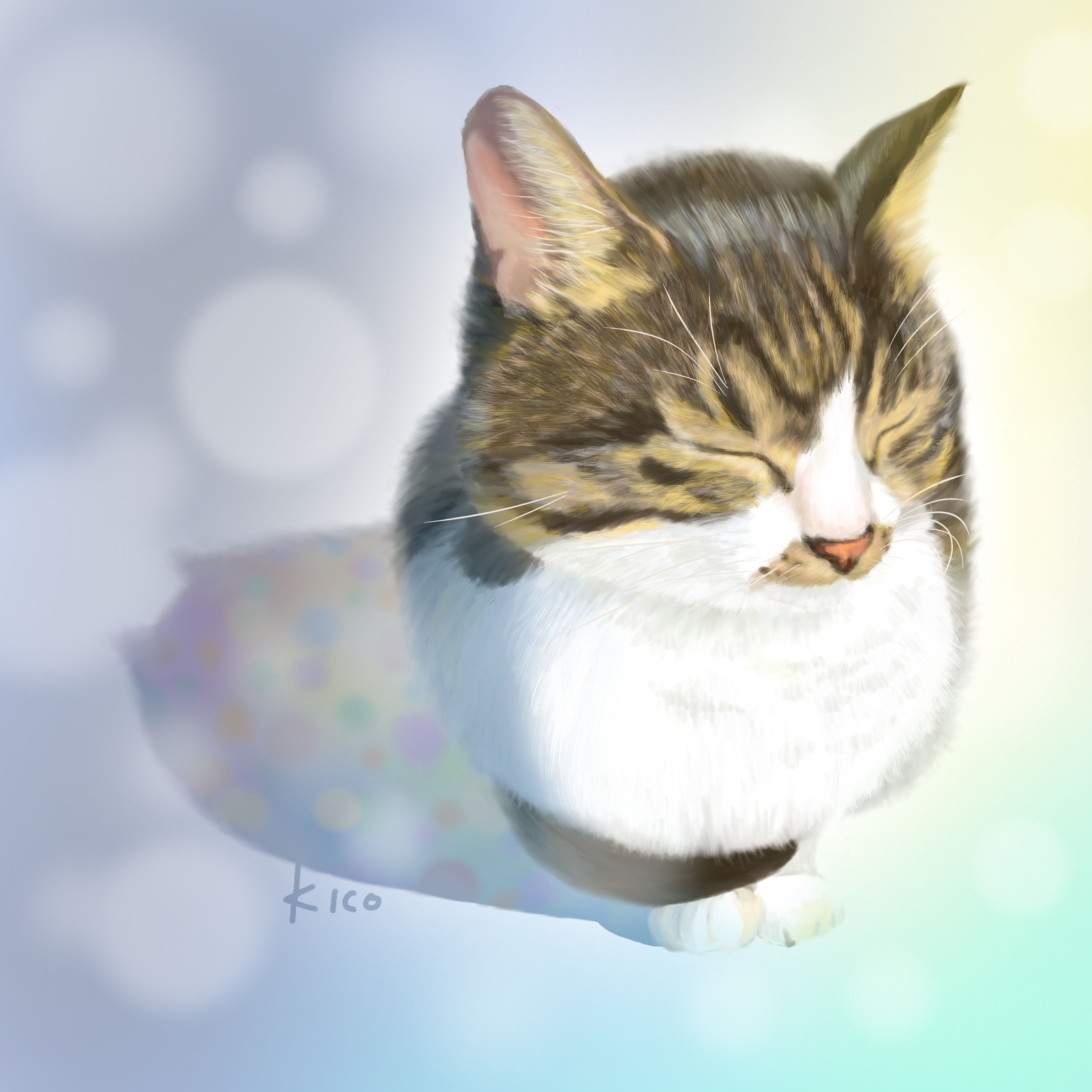 リアル猫-1