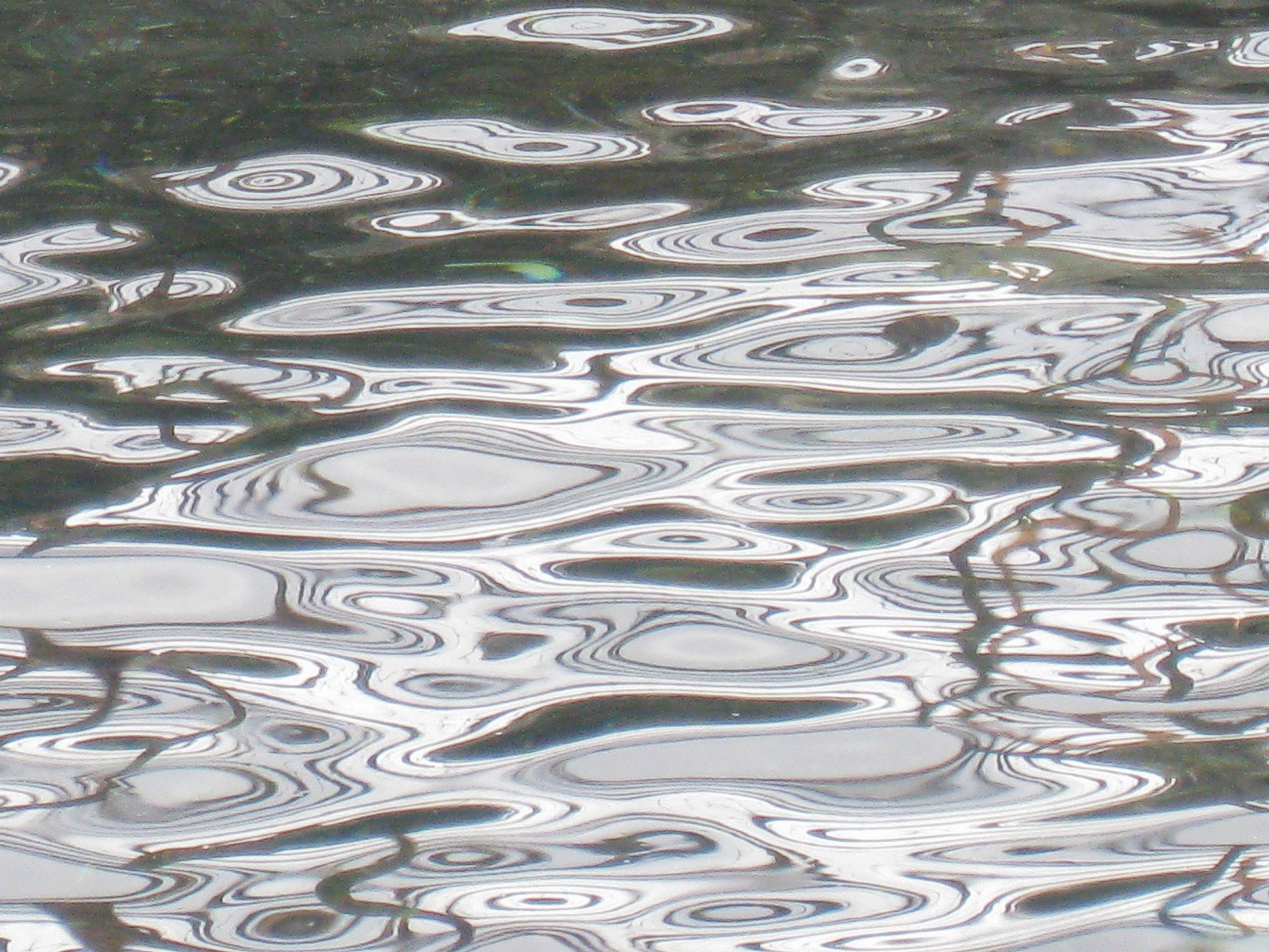 The beauty of failure・モチーフ-1