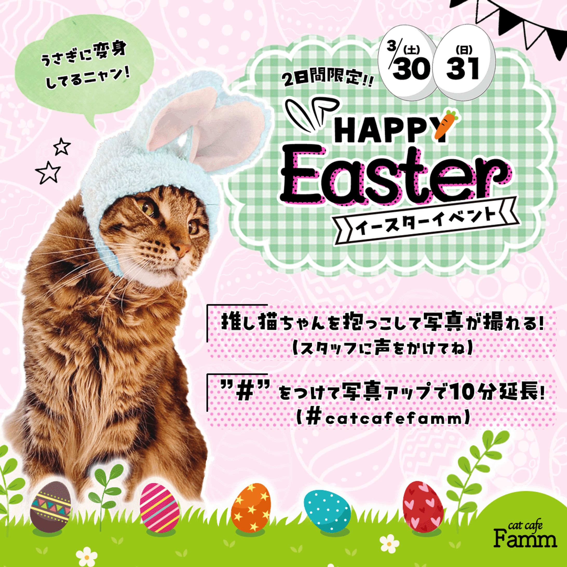 【架空】バナー（猫カフェ）イベント告知-1
