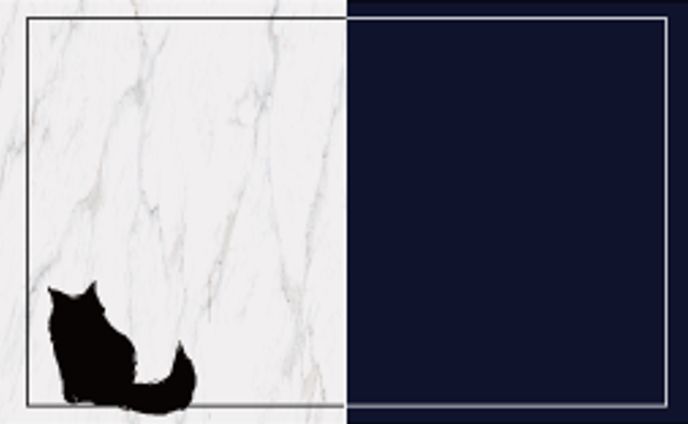 my name card