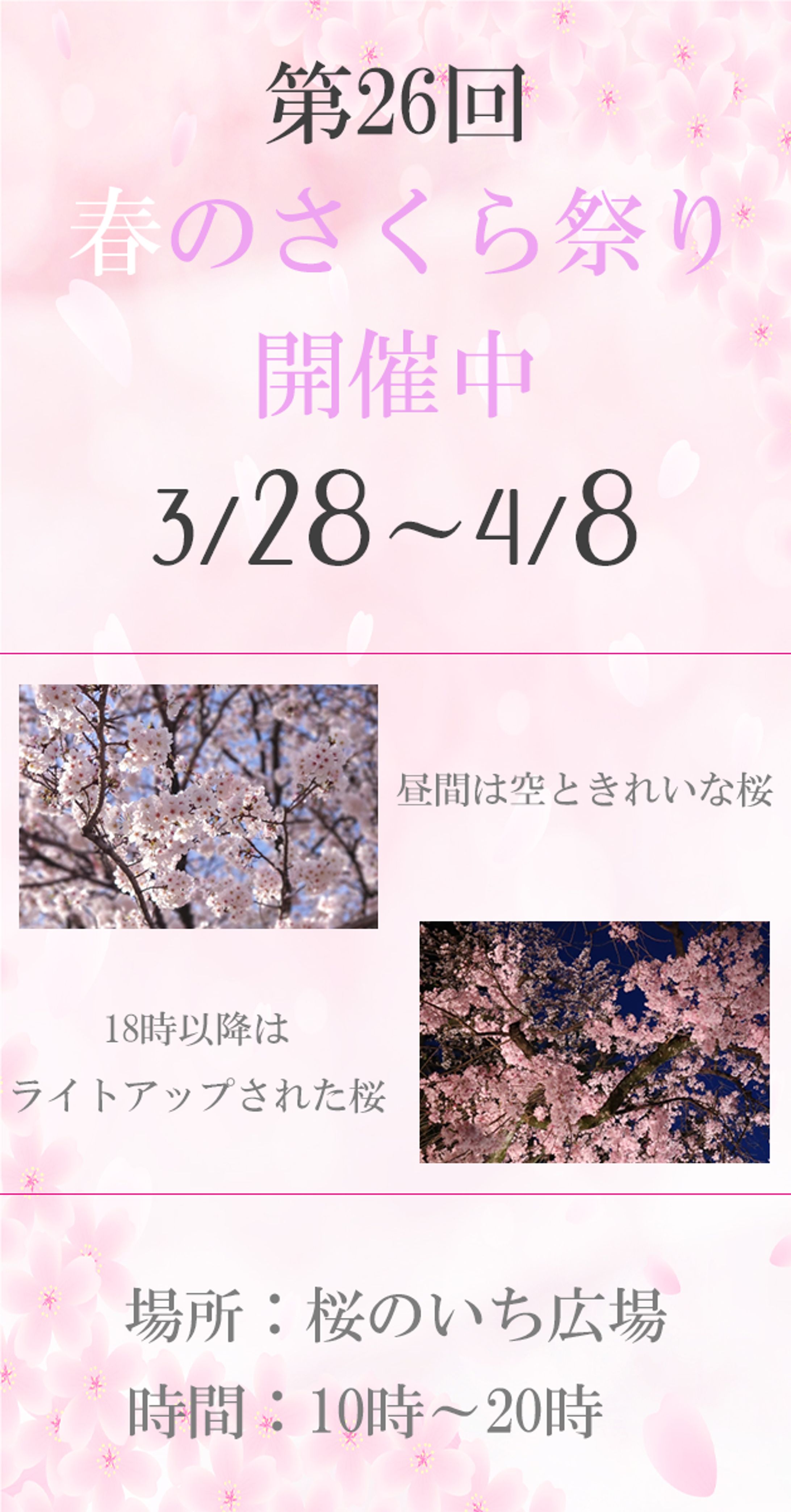 春のさくら祭り　オリジナルバナー　-1