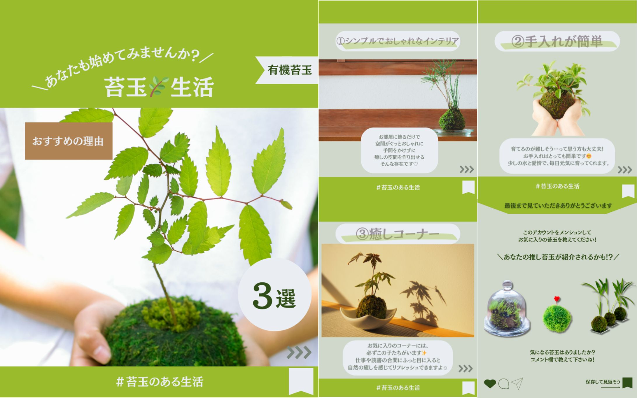 Instagram運用代行【苔玉】-1