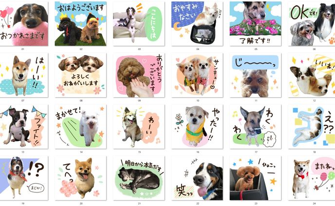猫、line