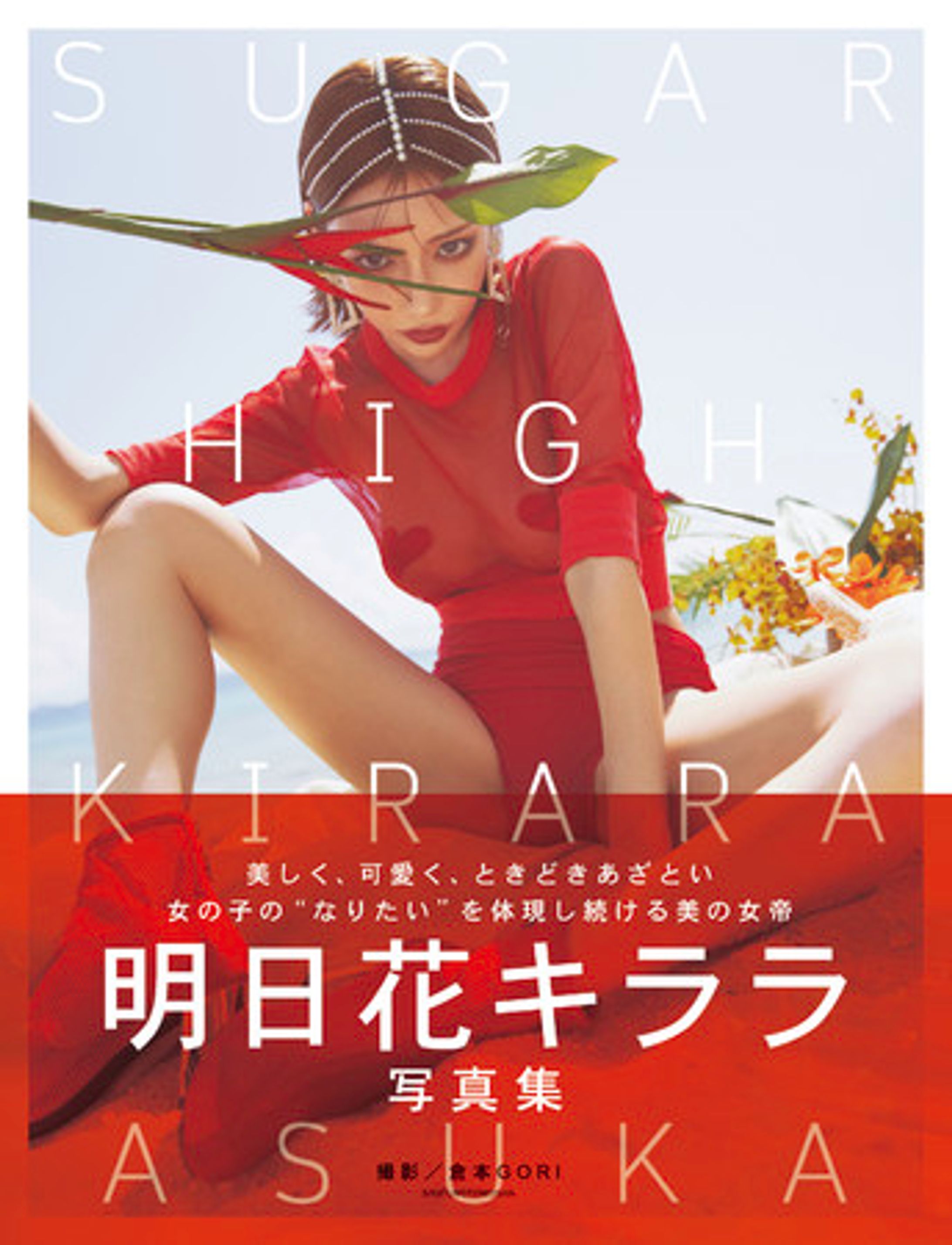 【stylebook】SUGAR　HIGH-1
