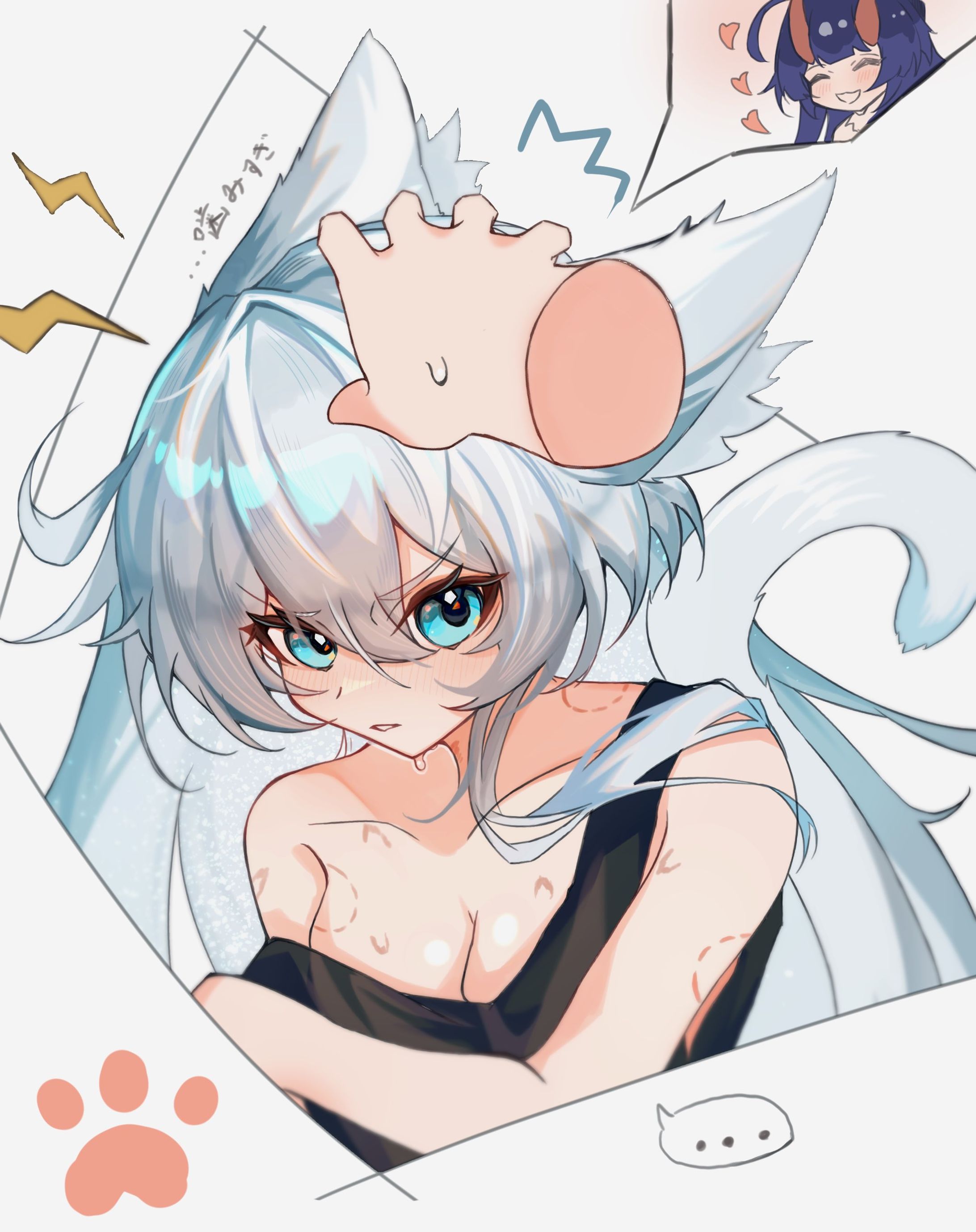 🐈キアナ-1