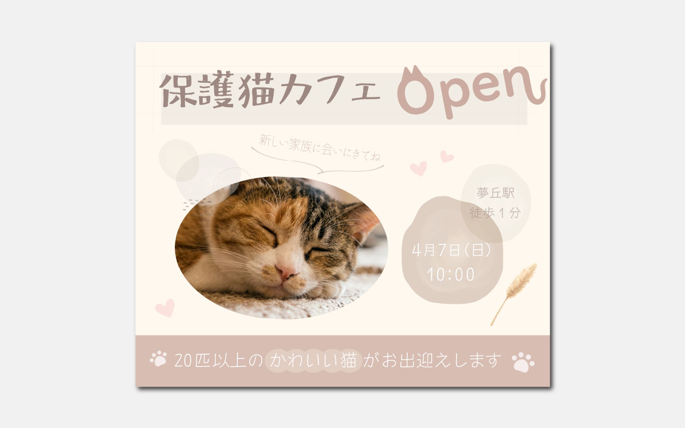 保護猫カフェ Open　バナー-1