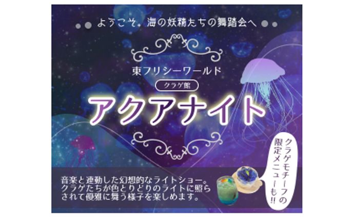 designer、商品紹介