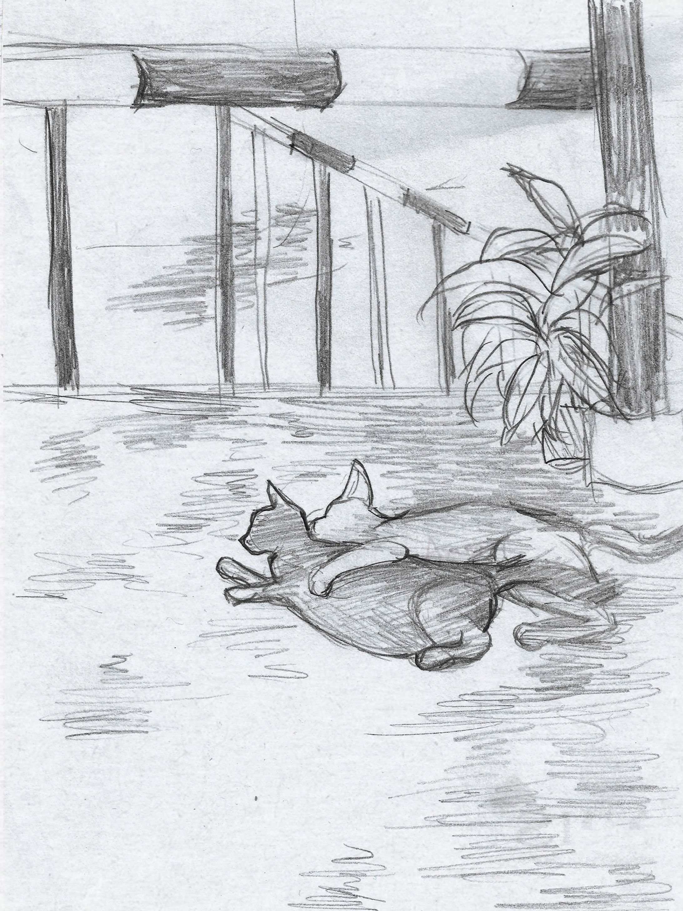 Environmental sketches-1