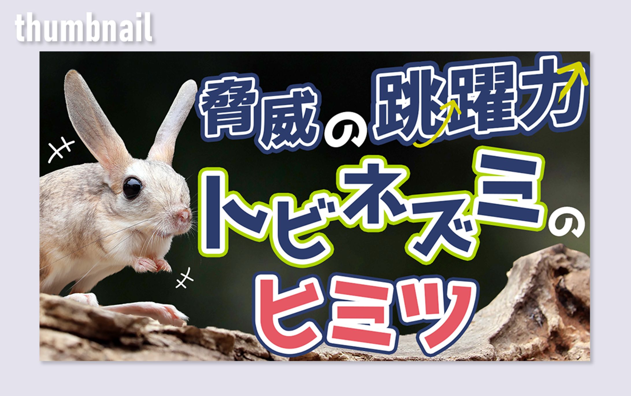 オリジナル制作-1