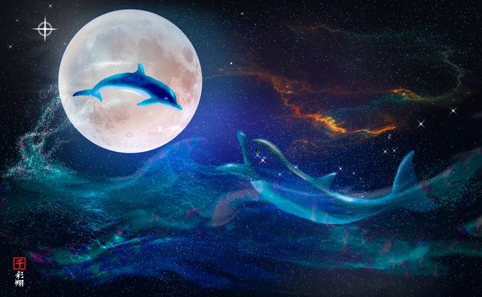 Moon Dolphin