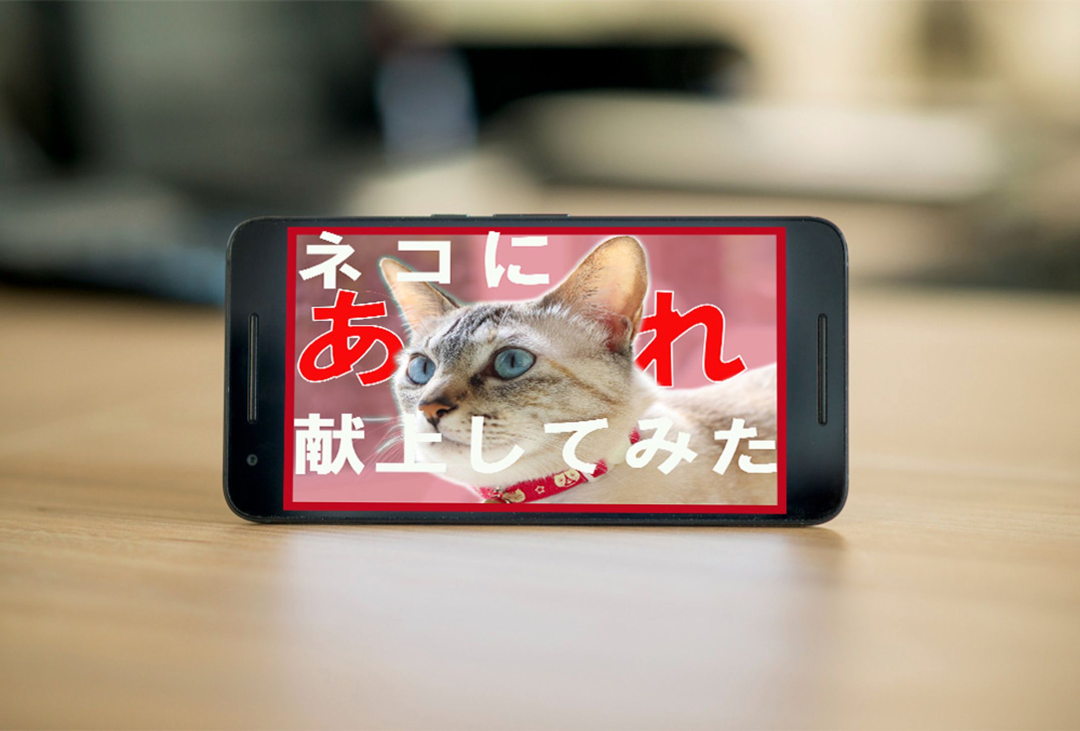 YouTubeサムネイル-1