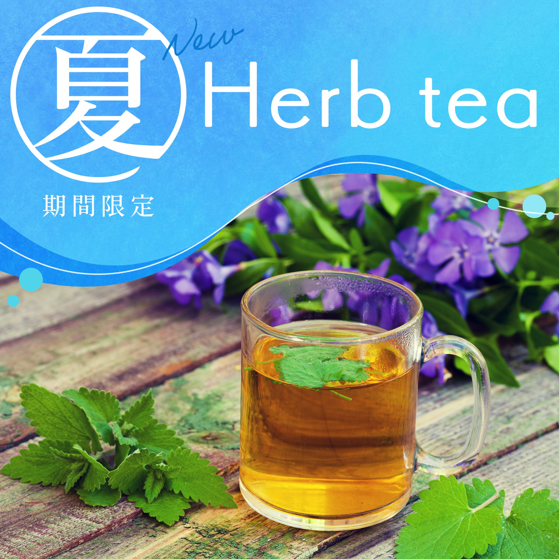 【バナー作品例】Herb tea-1