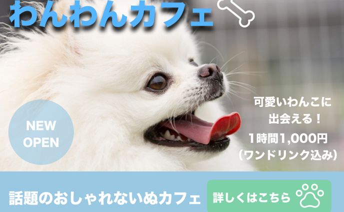 犬カフェ