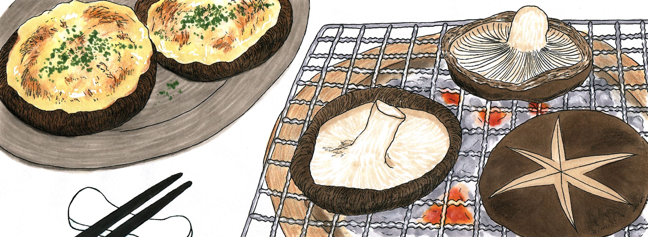 「栄養と料理」（女子栄養大学出版部）「機能性成分のひみつ」２０１８年７月号〜現在連載中 -1