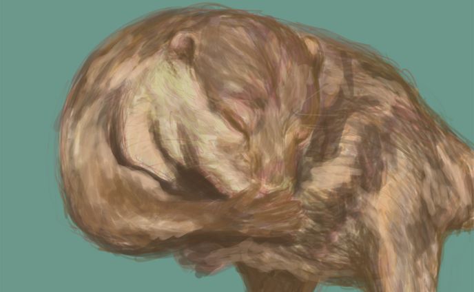 イラスト、ハウソニー