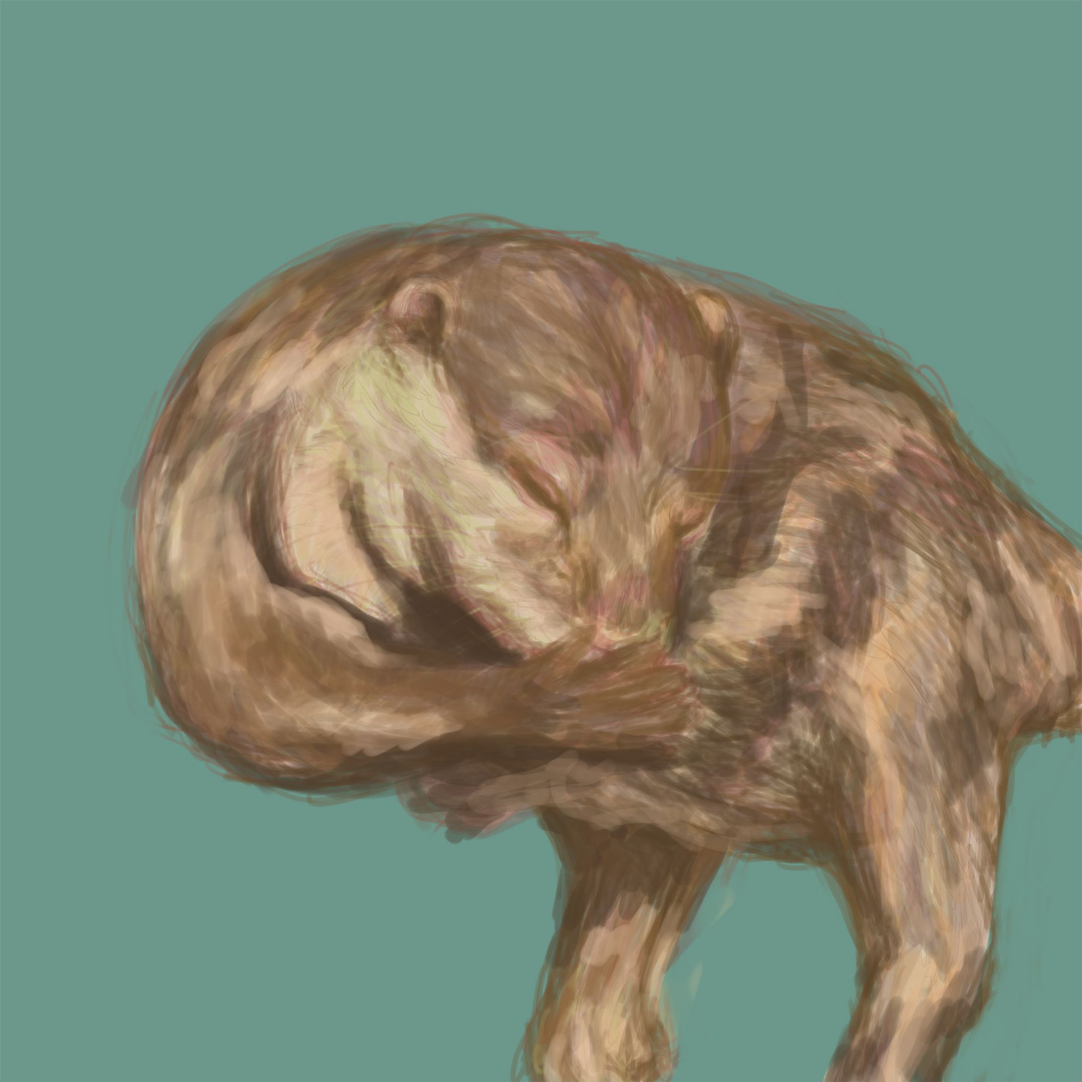イラスト『カワウソ』-1