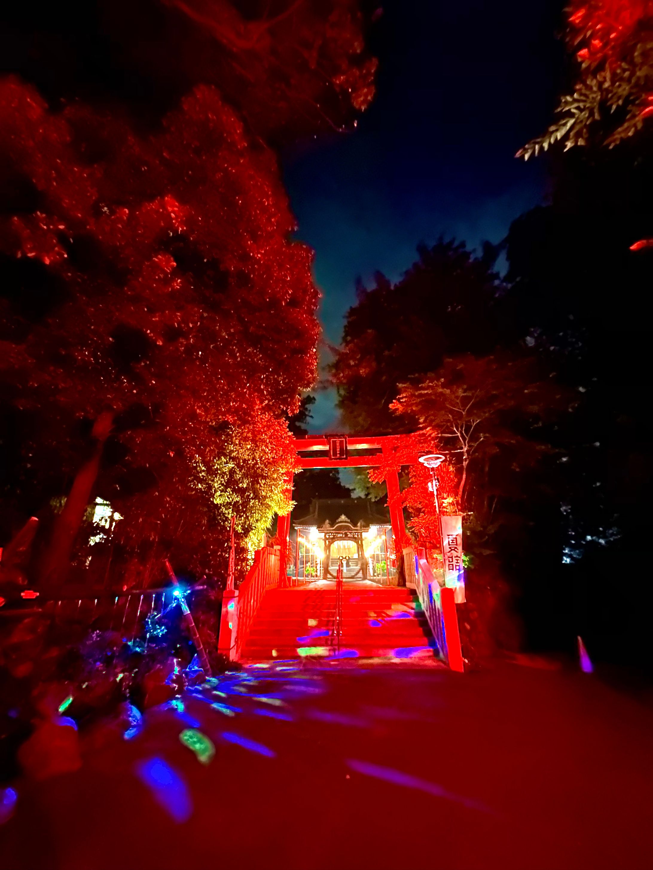 白笹稲荷神社ライトアップ-1