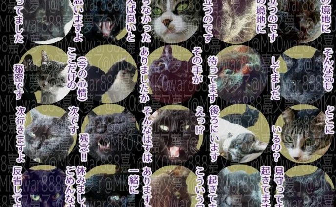 大規模怪異発生日記、更新しました。
https://note.com/mk0war888/n/n1073d8d6921c

465.20230319：泰市の回：ねこのすたんぷ｜投稿しました。https://note.com/mk0war888/n/n08fdea6a50a8
バースセイバー711号室記録帳BBSにて毎晩連載中の #小説 を　#note　マガジン「711号室」にて公開しています。スキ・フォロ・シェアしてくださると、うちのこがランダムでお礼を申しますので是非♡
#ごりごりごりっと芯減らし訓練 は、本日の挿絵、SNS用スタンプ。（リアルなりちかラインスタンプ第三弾に着手しました。 #一次創作  #digitalillustration #originalcharacter　#ARTISUL  #clipstudiopaintpro