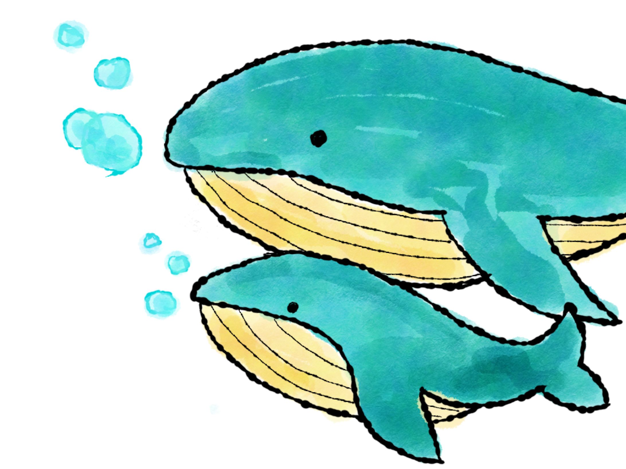 Whale parent and child-1