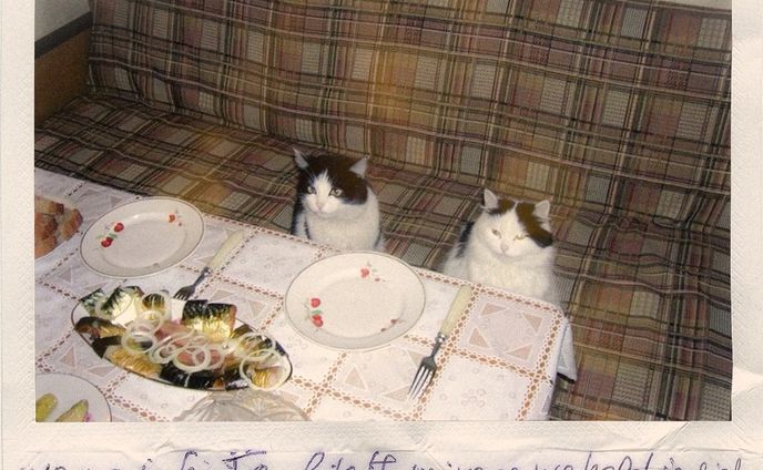 tuxedos birthday party