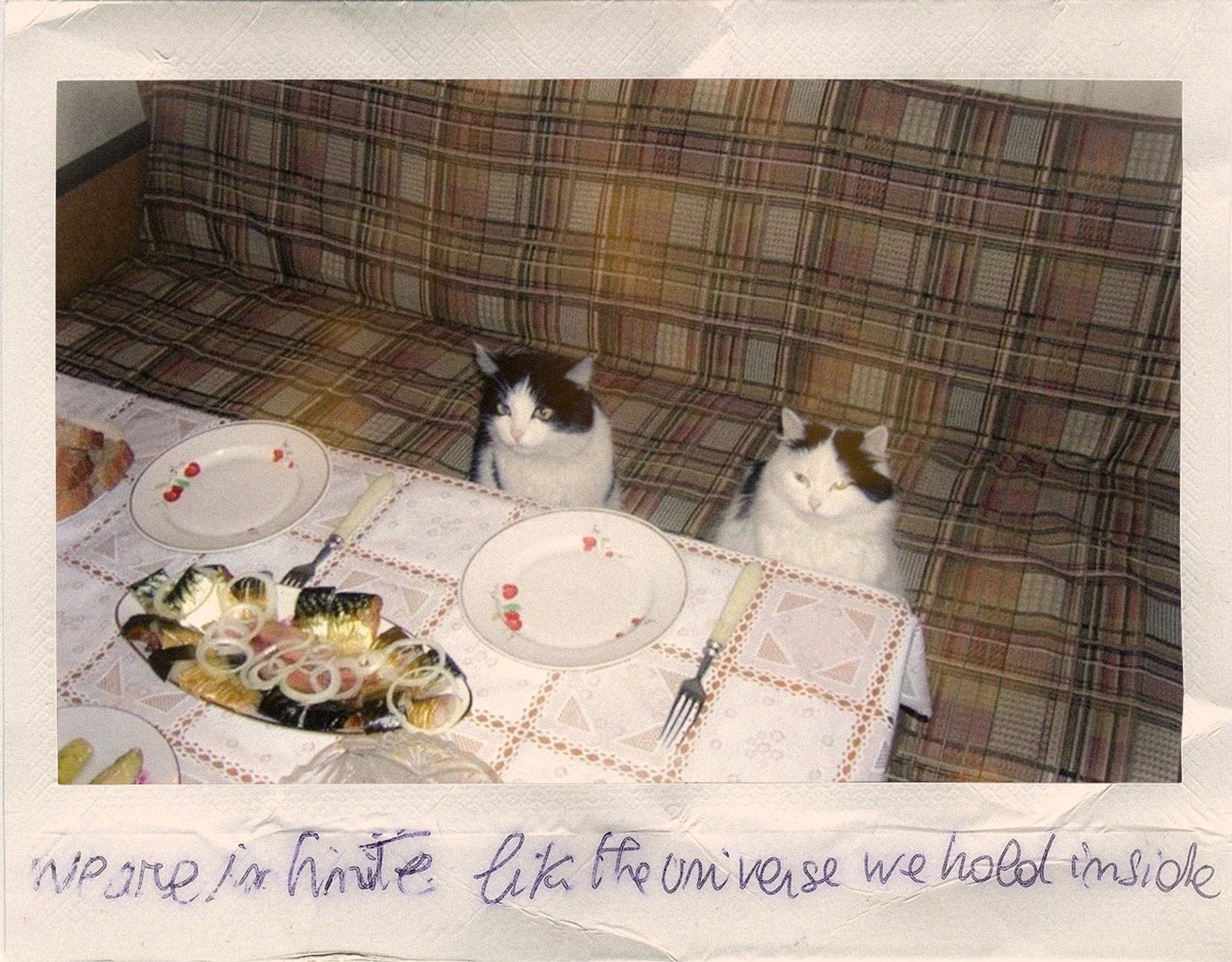 tuxedos birthday party-1