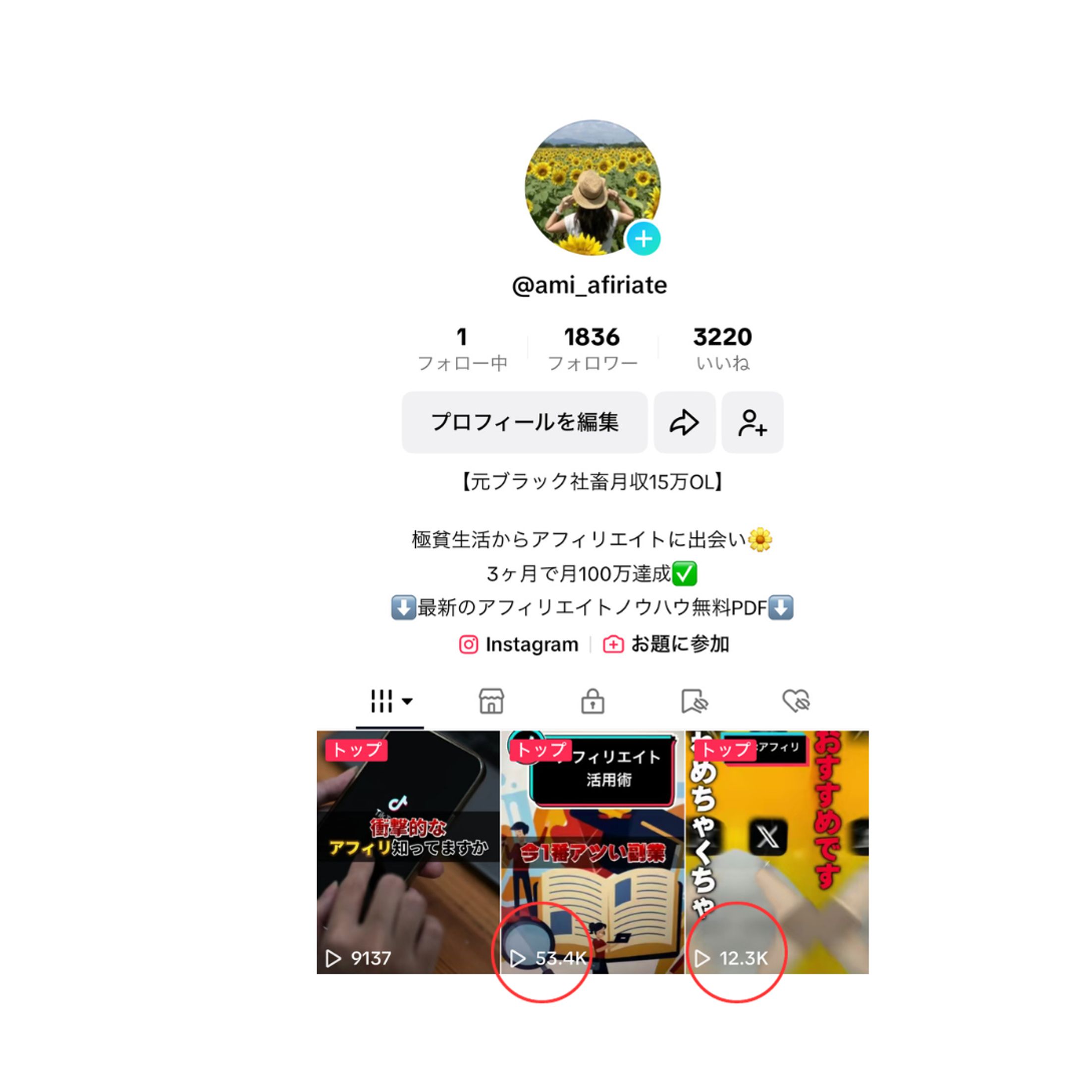 アフィリエイト集客実績-1
