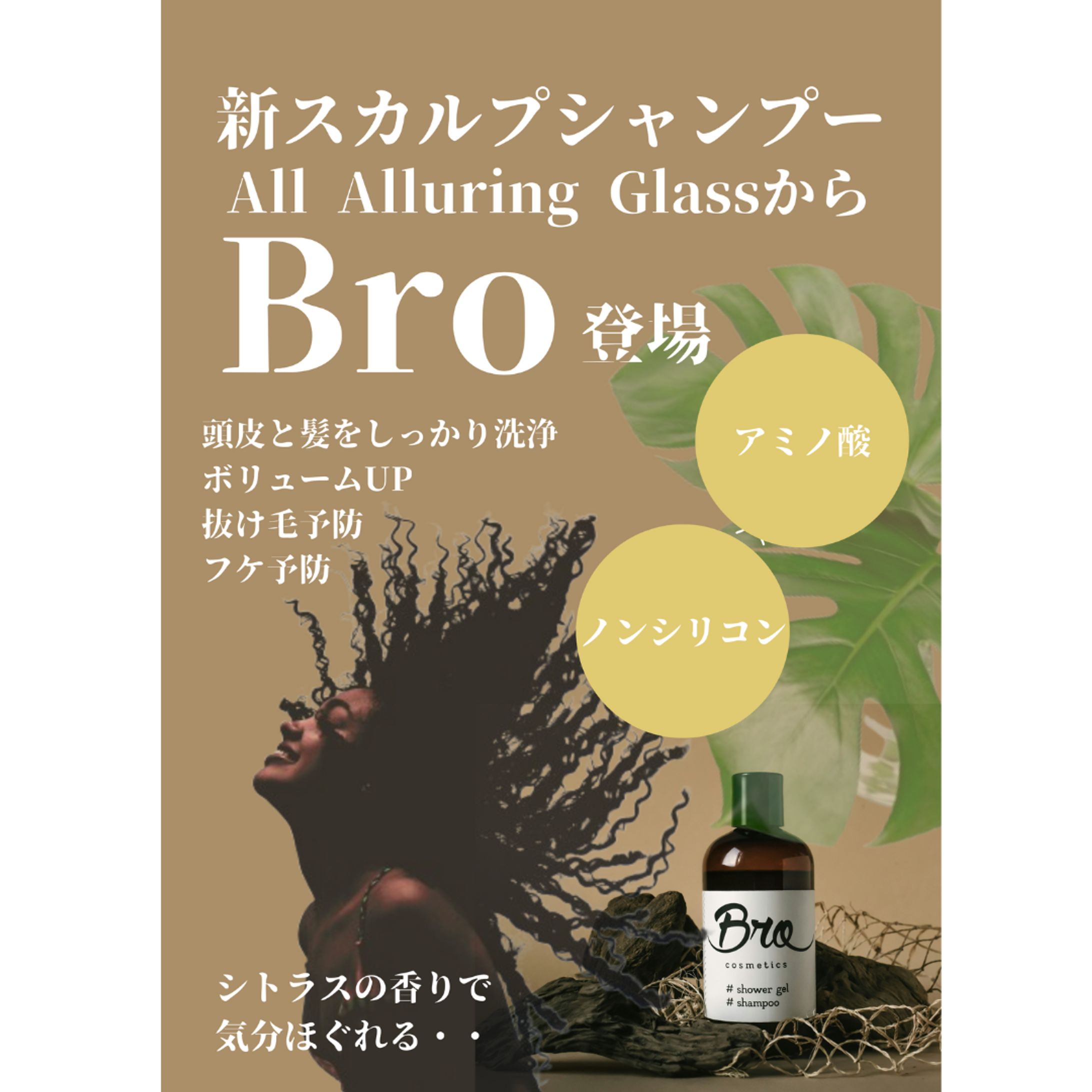 架空のヘアサロンの新発売のシャンプーのチラシ-1