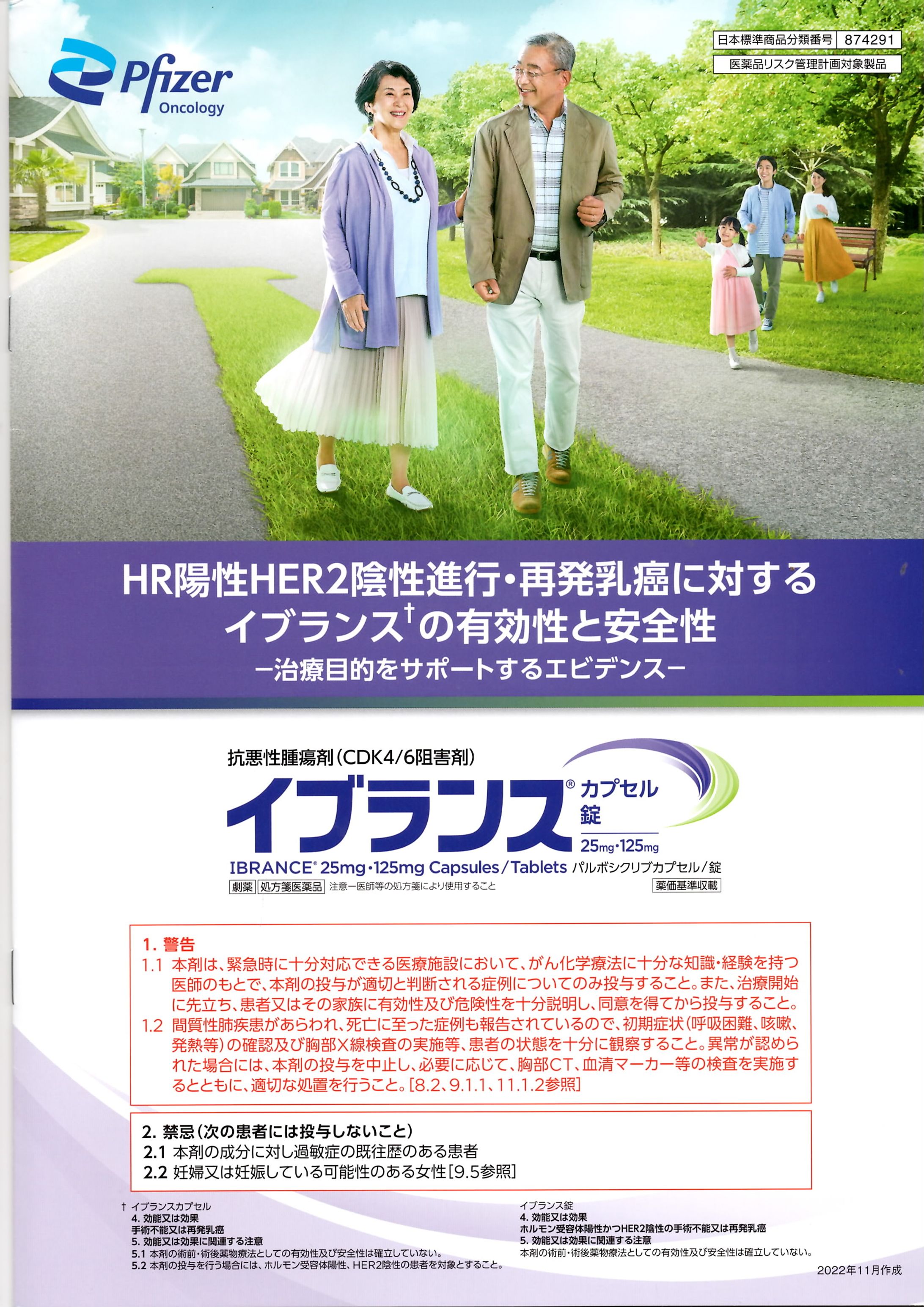 イブランスPR用パンフレット-1