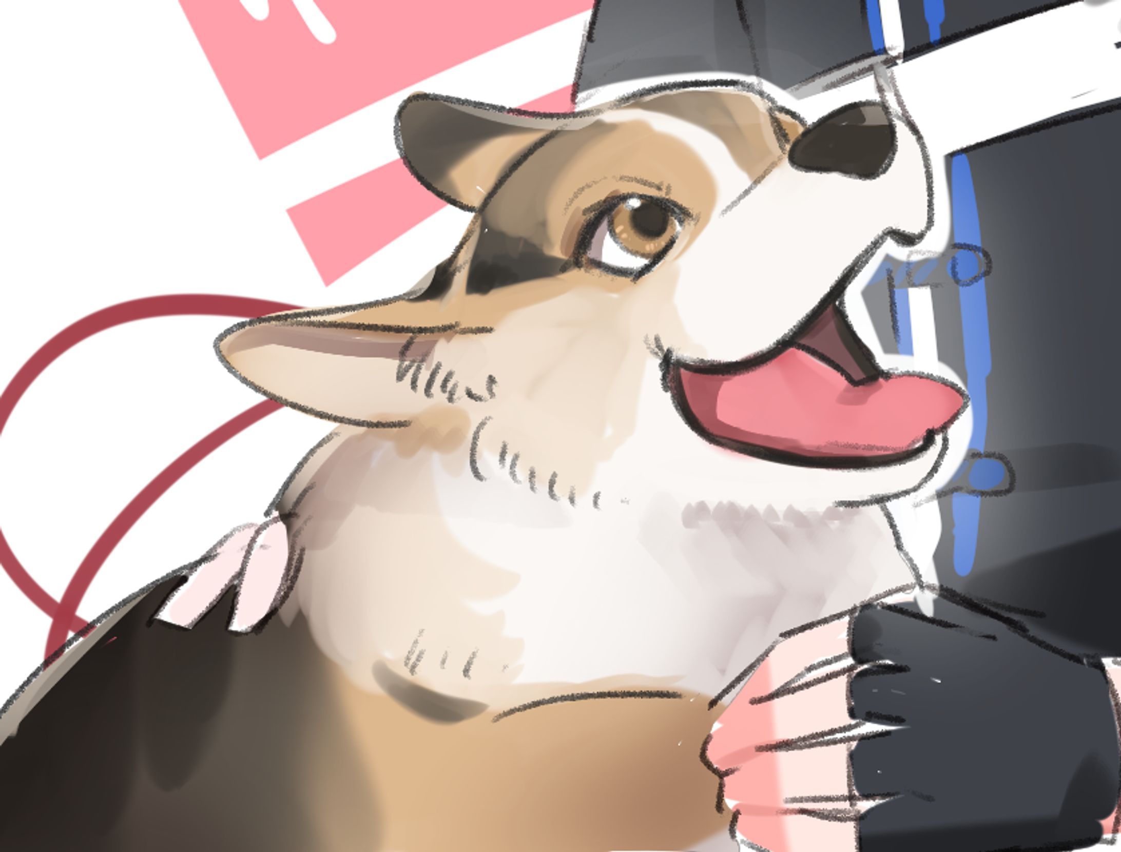 動物　ペット-1